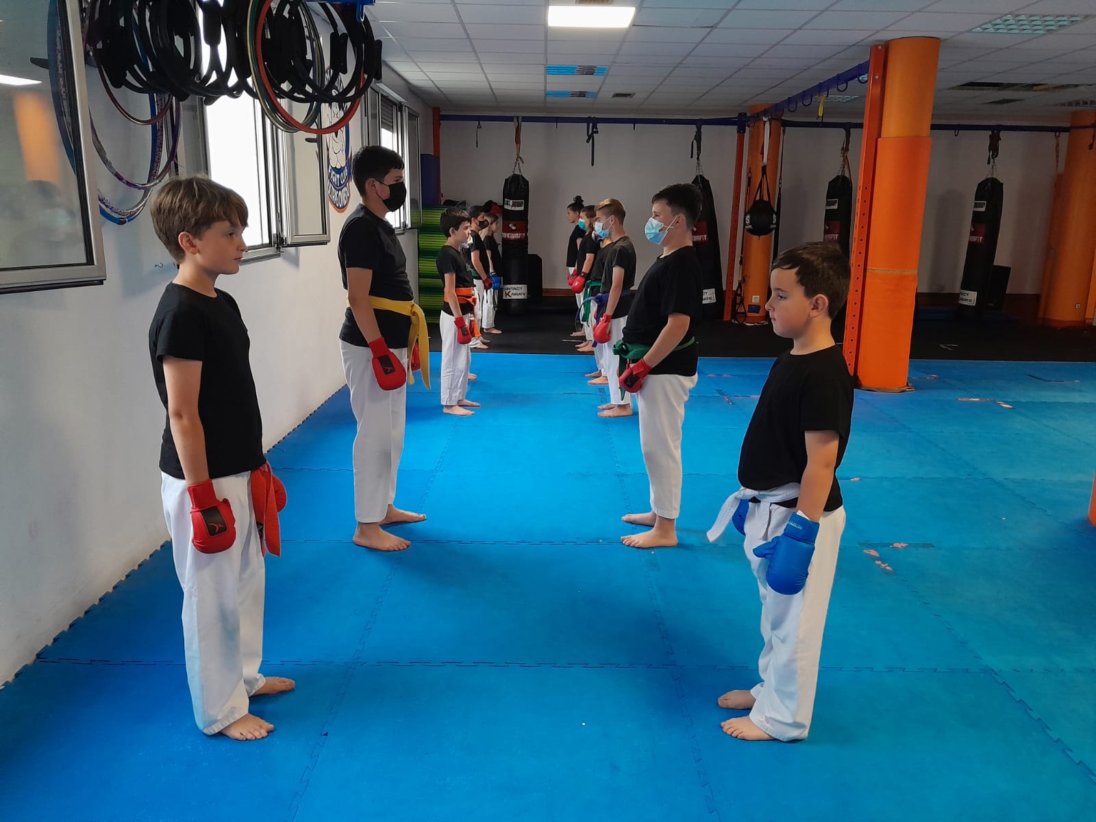 Contact Karate en el Gimnasio Pedregal
