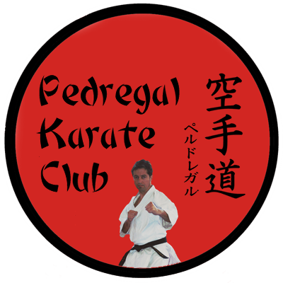 Pedregal Karate Club